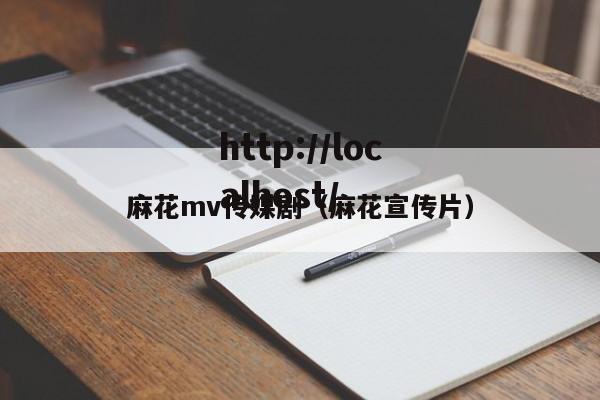 麻花mv传媒剧(麻花宣传片)